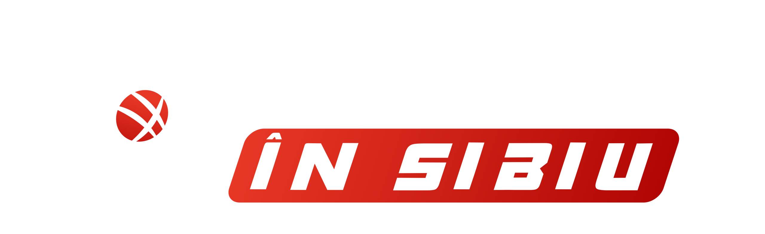 Sport în Sibiu Sport în Sibiu